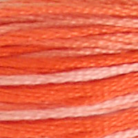 DMC 106 Variegated Coral embroidery floss skein