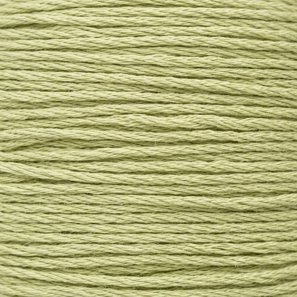 DMC 474 Very Light Avocado embroidery floss skein